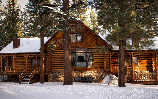 Log Cabin Budget for 2025